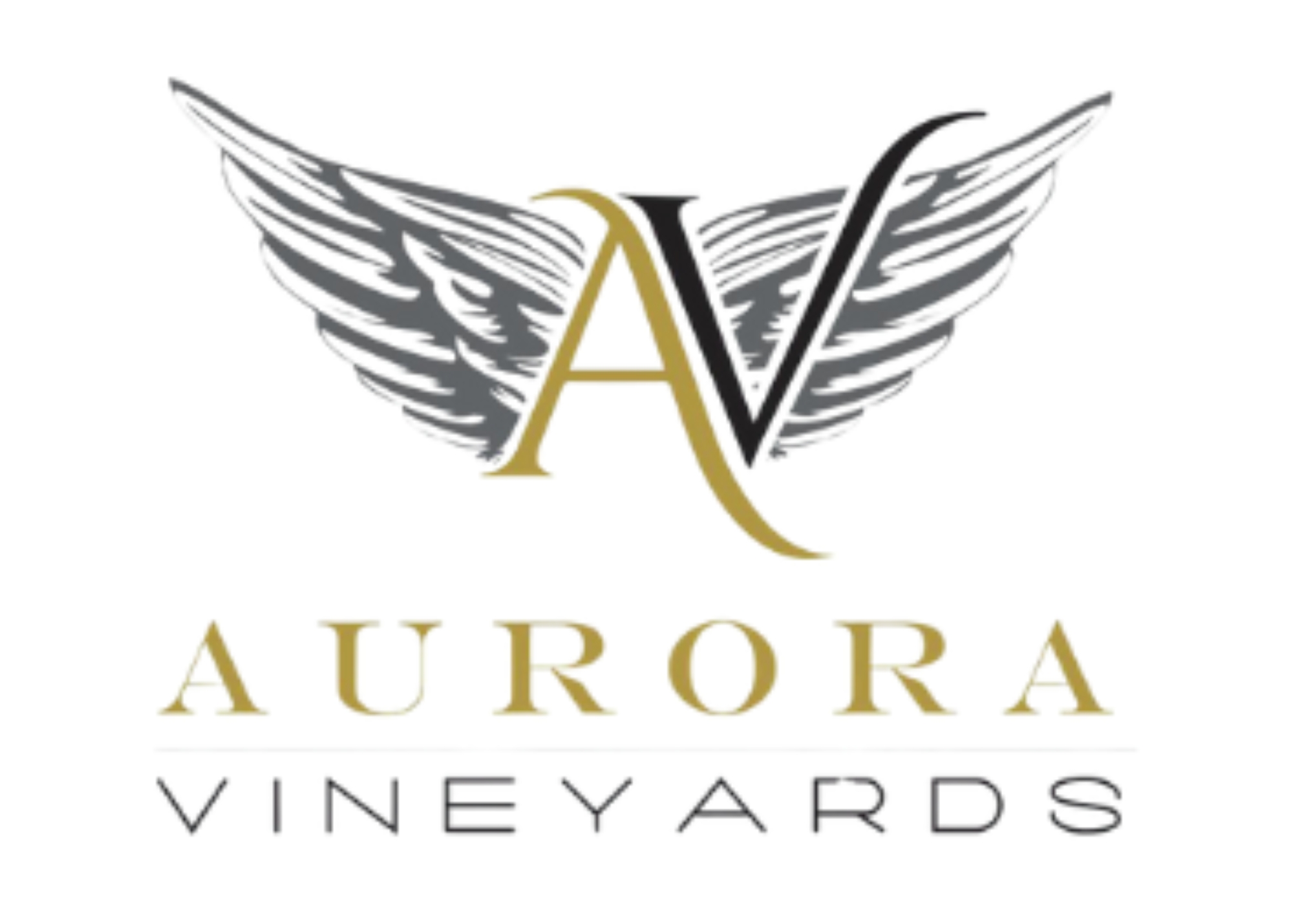 Tasting Room Aurora Vineyards