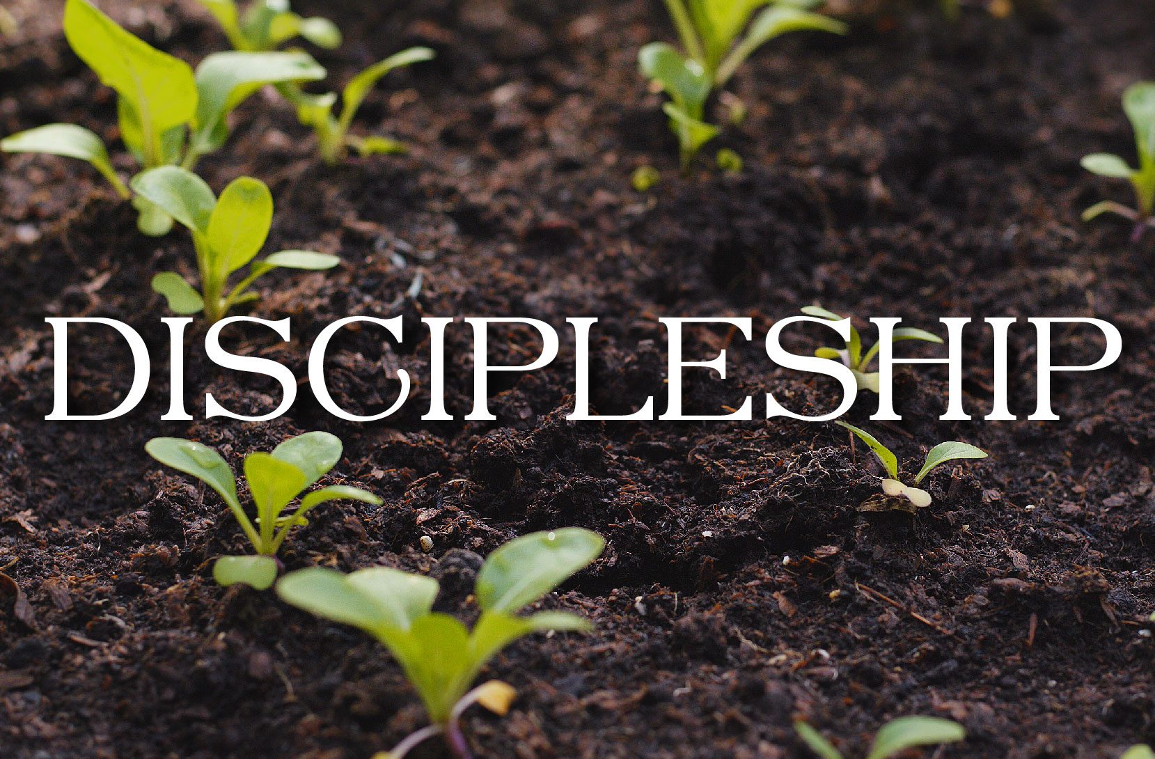 Discipleship