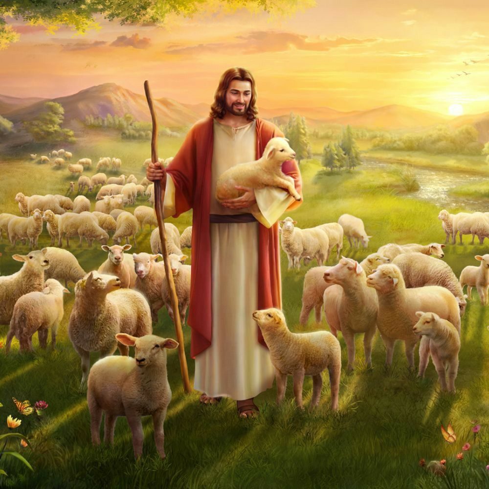 jesus-with-sheep-wallpapers