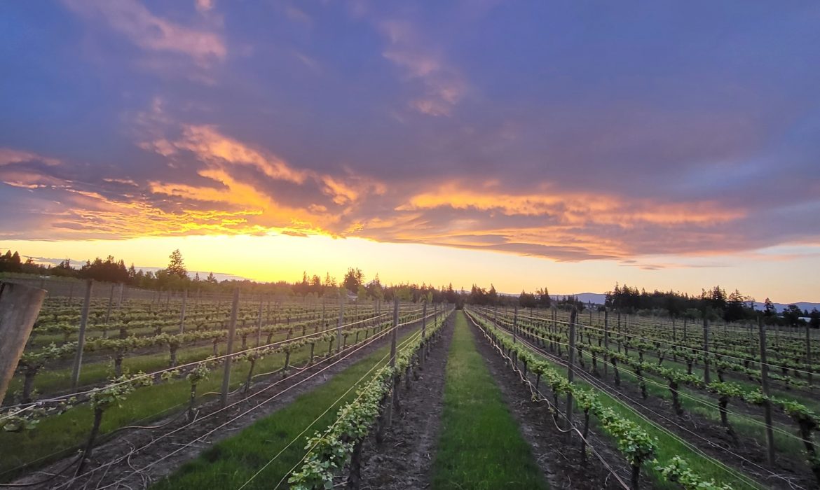 95000AA2-CD98-46FF-A366-86742814A145