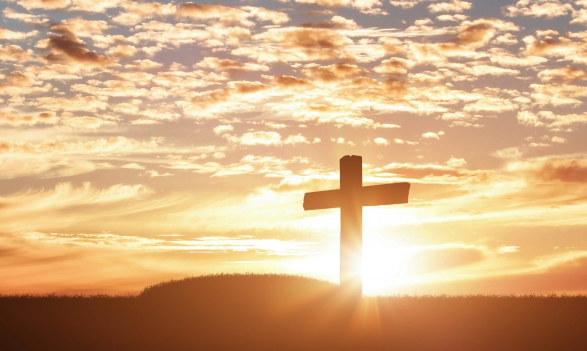 0A3FB92D-72FD-467D-95E3-60E65667A0BD