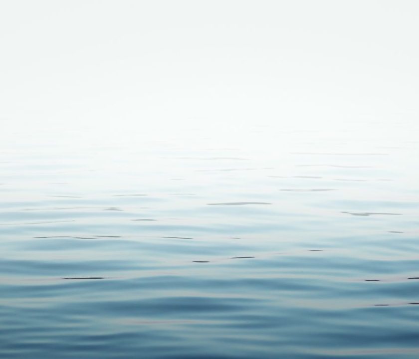 Untitled (1116 x 738 px) (1)