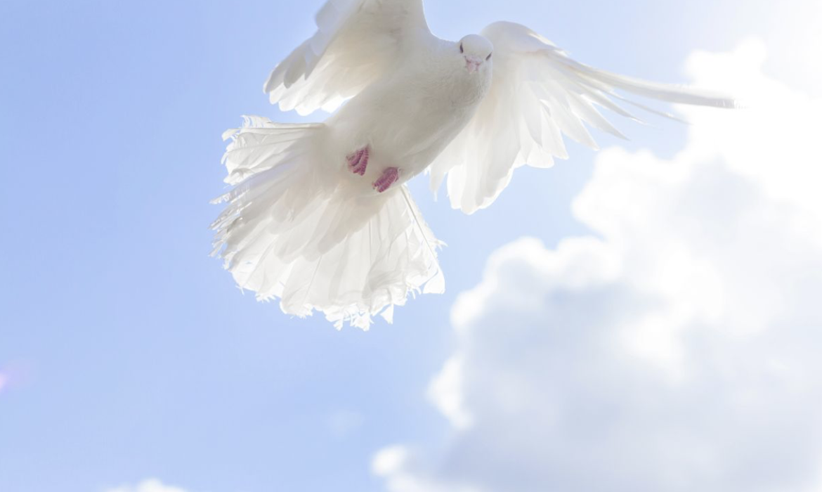 Screen Shot 2024-01-08 at 4.01.38 PM