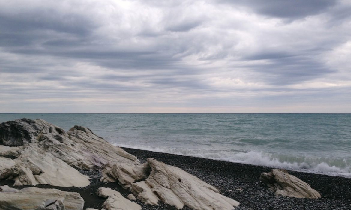 Screen Shot 2024-01-08 at 4.08.24 PM